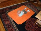 2005-04-17 tummy time (3)