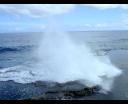 blowhole2